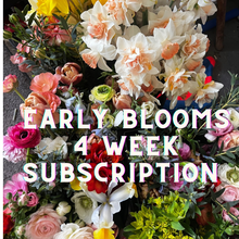 Load image into Gallery viewer, Early Blooms 4 Week CSA
