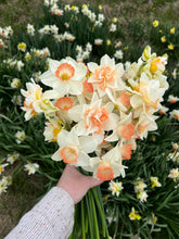 Load image into Gallery viewer, Early Blooms 4 Week CSA
