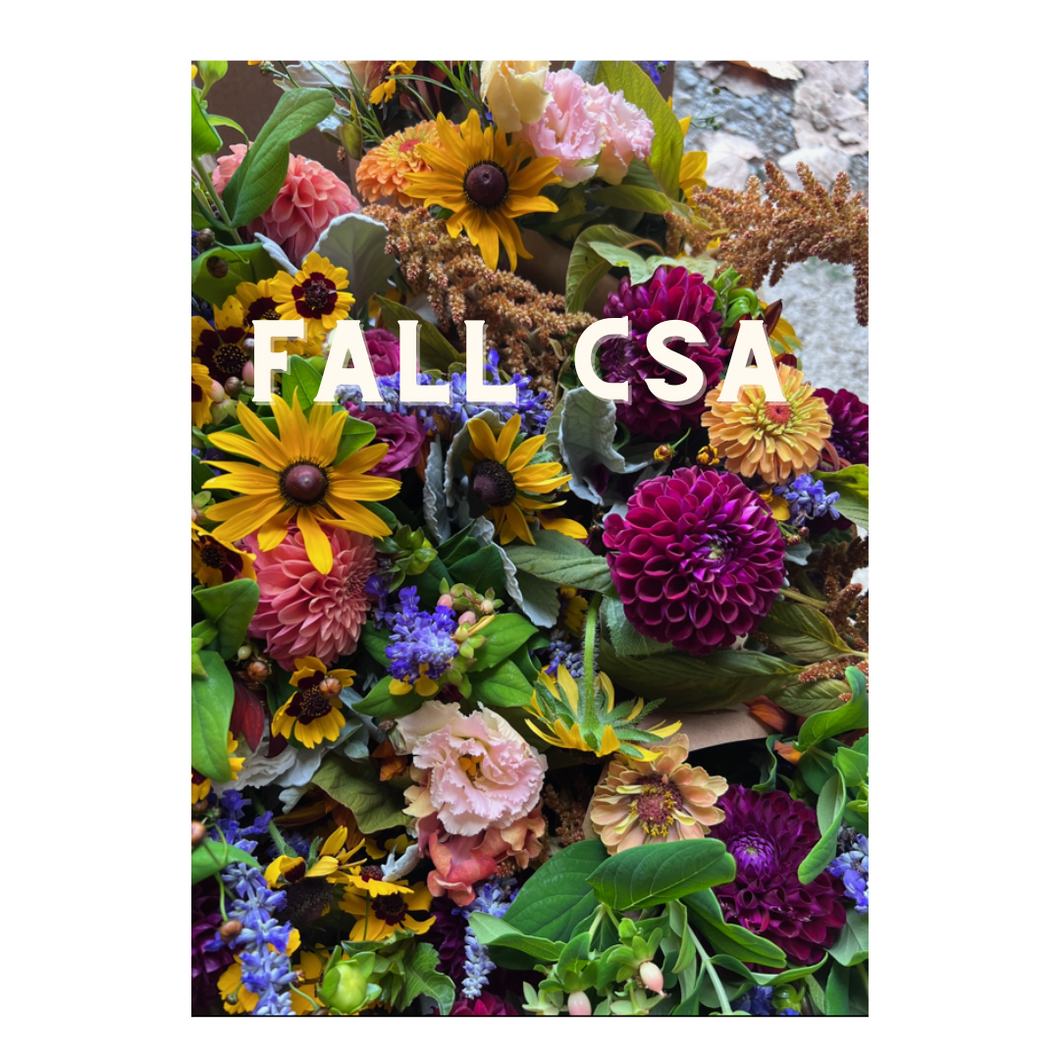 2025 Fall Blooms Subscription - 8 Week Flower Bouquet CSA