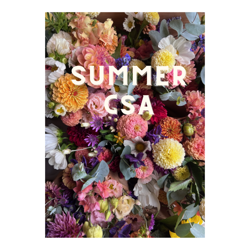 2025 Summer Blooms CSA - 8 Week Flower Bouquet Subscription