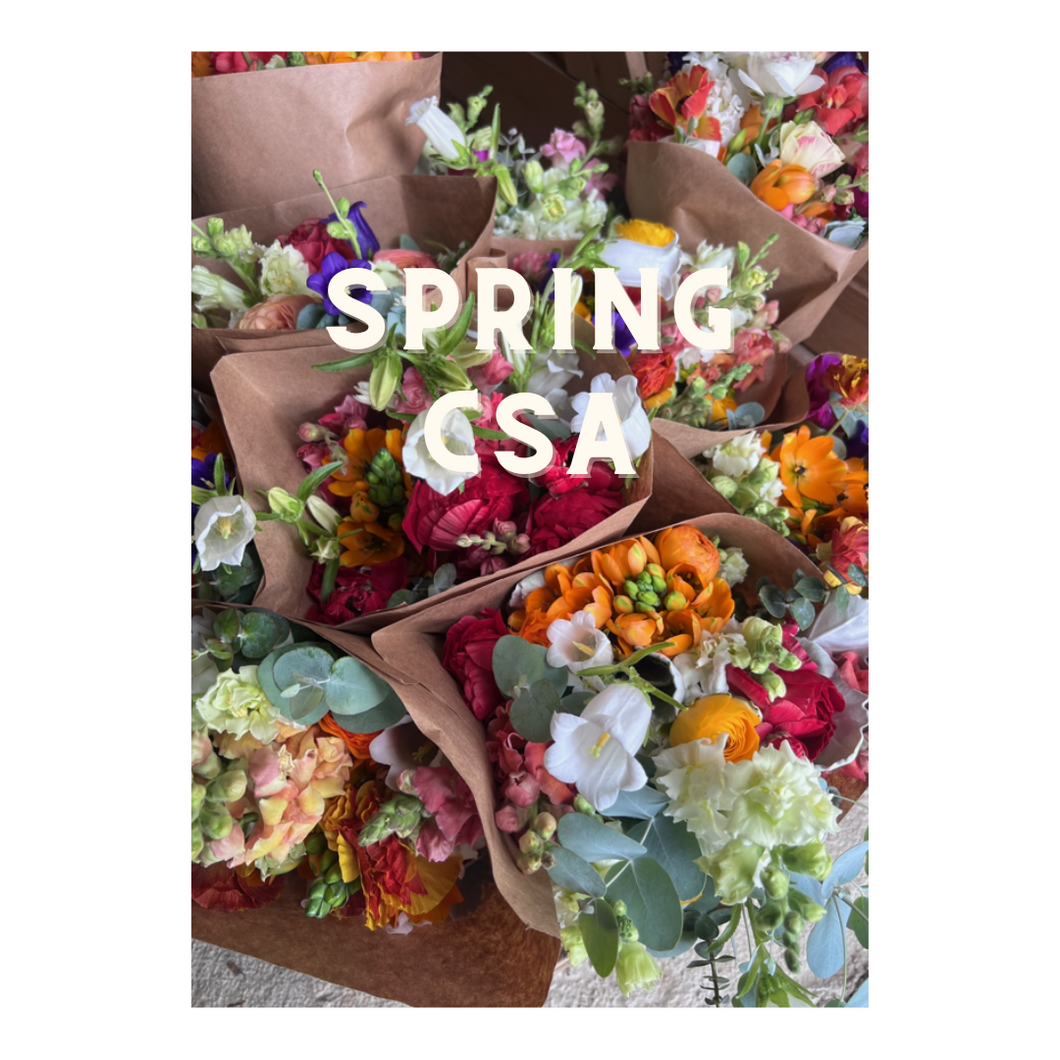 2025 Spring Blooms Subscription - 8 Week Flower Bouquet CSA